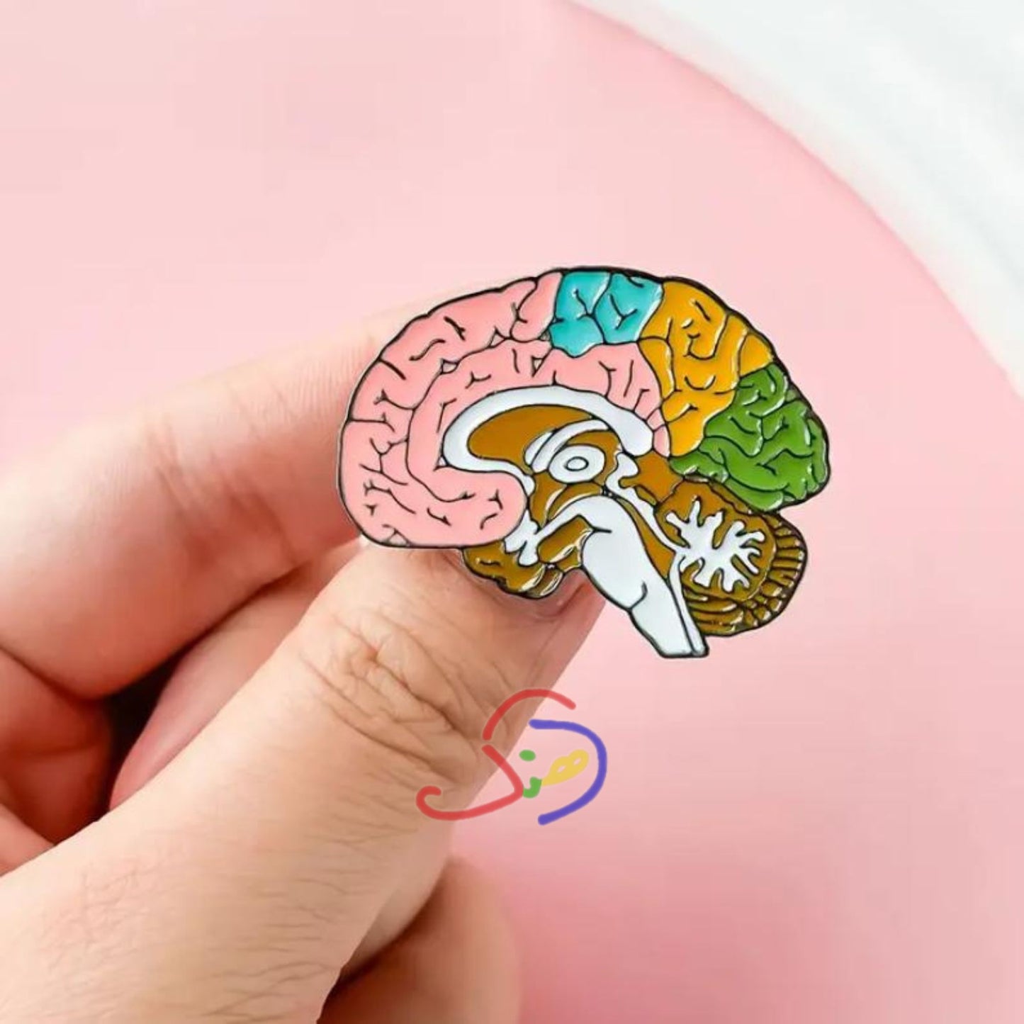 Brain Structure Brooch