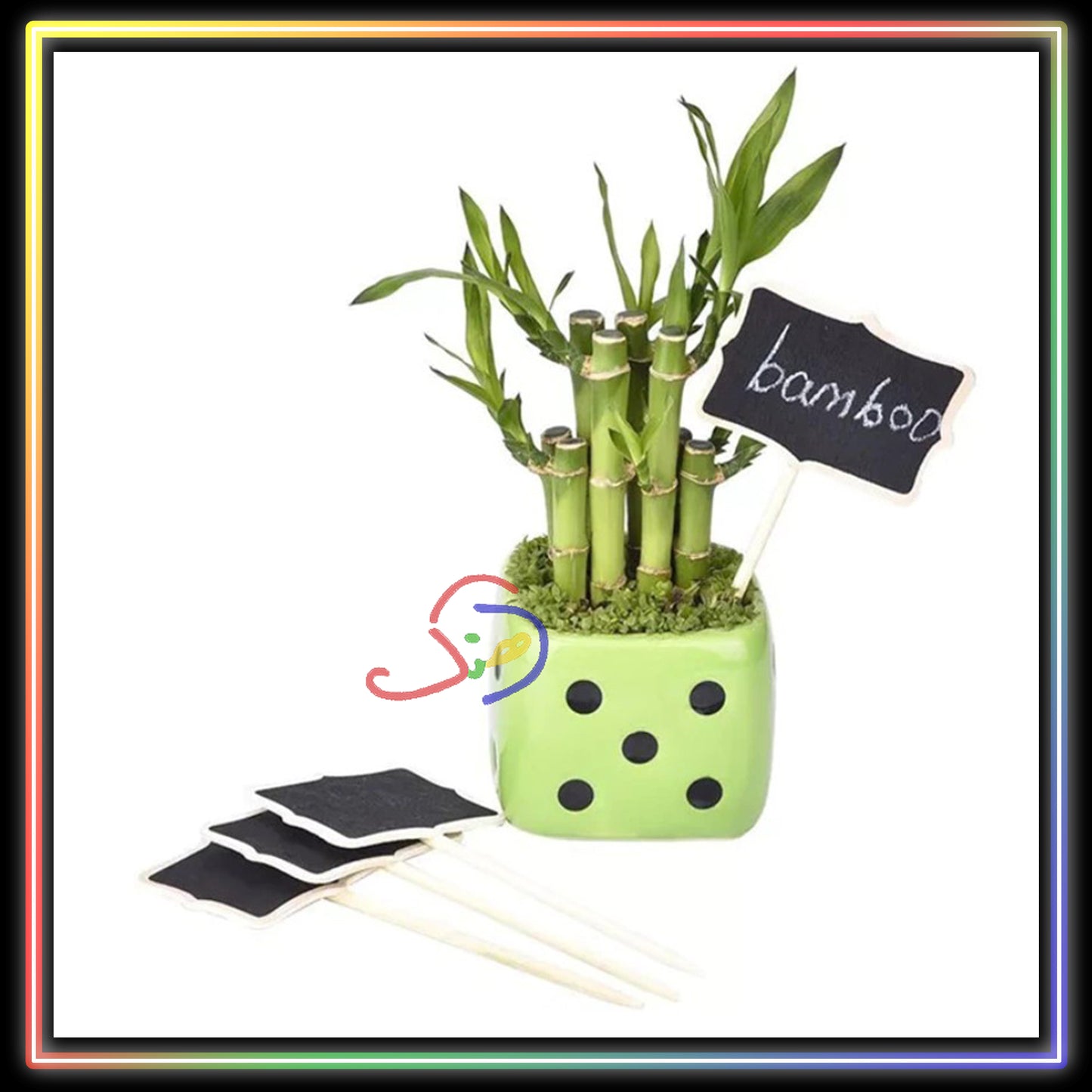 Chalkboard Insertion