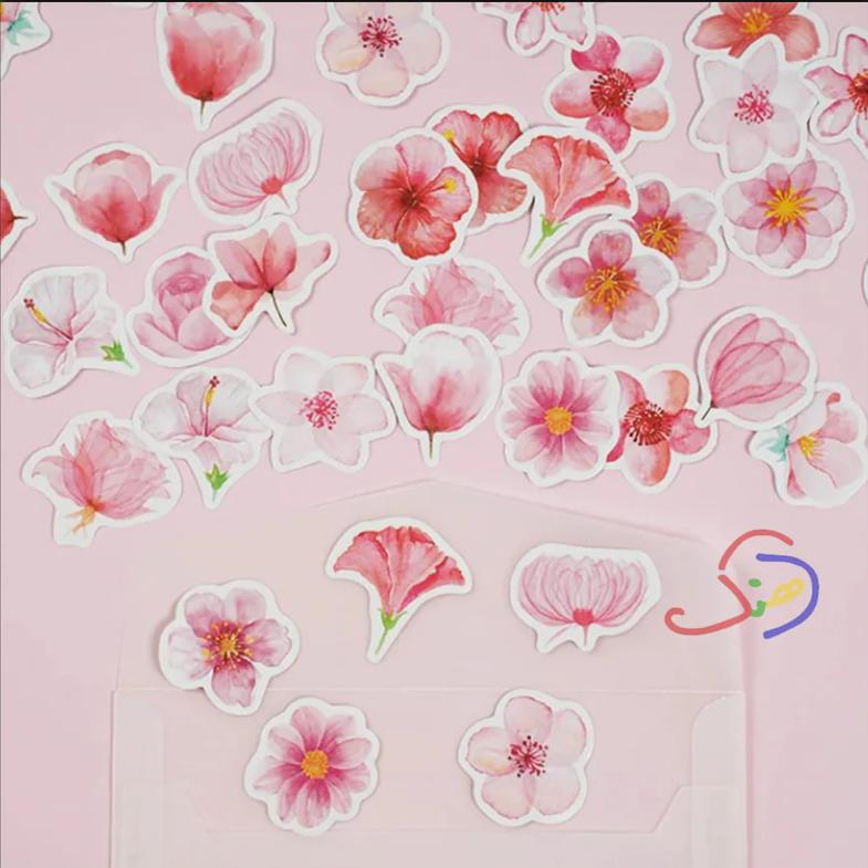 Cherry Blossom