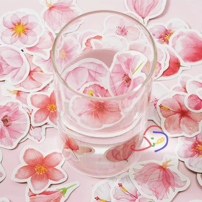 Cherry Blossom