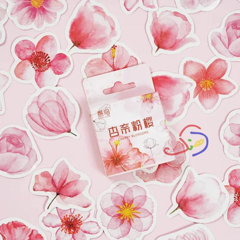 Cherry Blossom