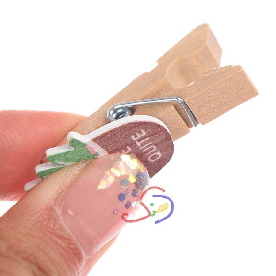 Cactus Mini Clips
