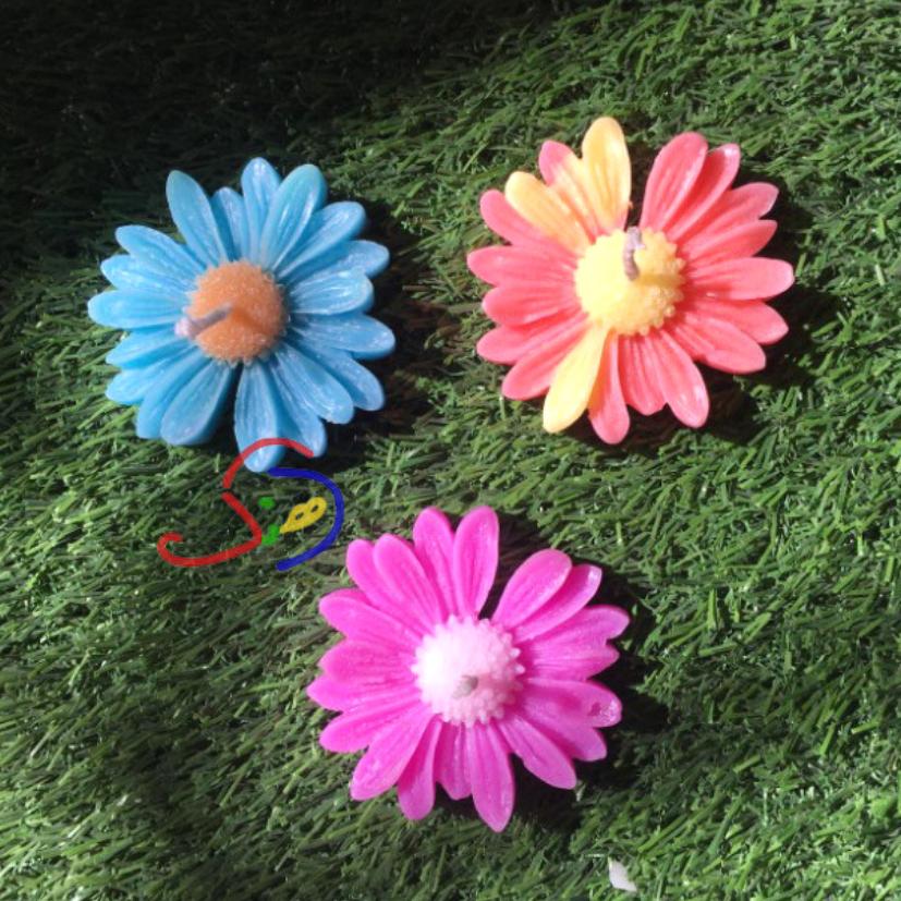 Daisy Love