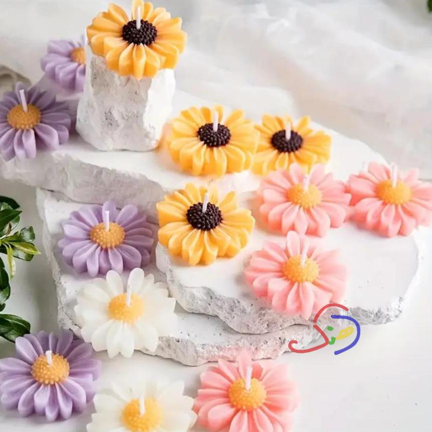 Daisy Love