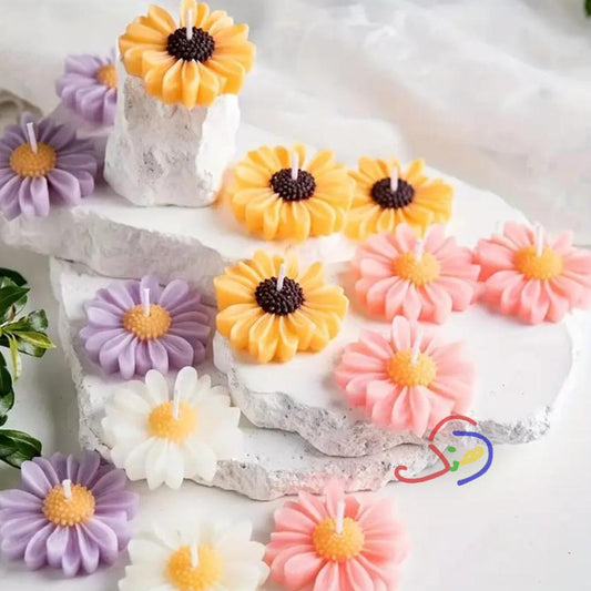 Daisy Love