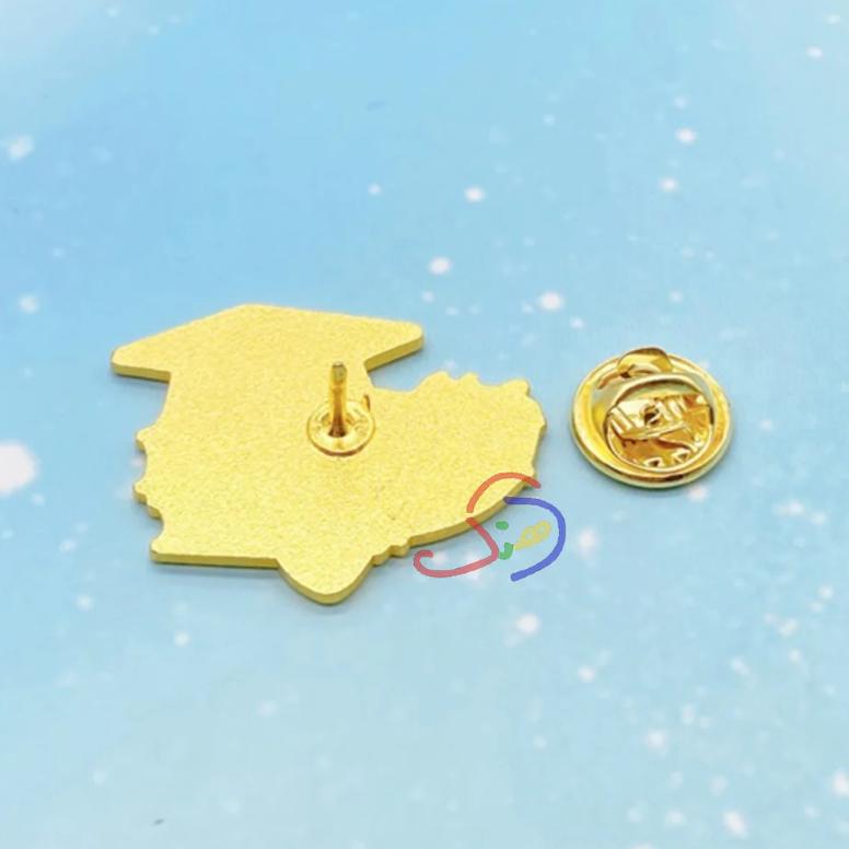 Graduation Pin