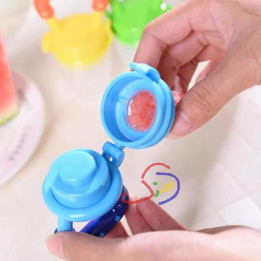 Fruit Pacifier