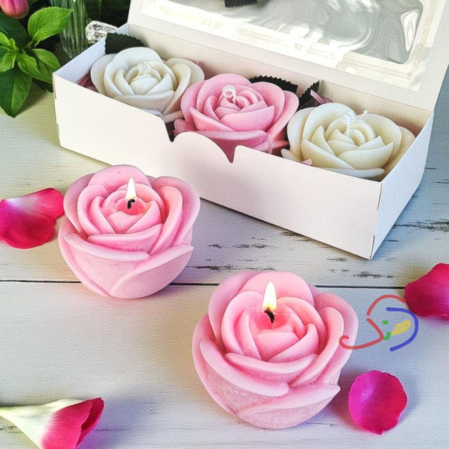 Symphony of Rose Light
