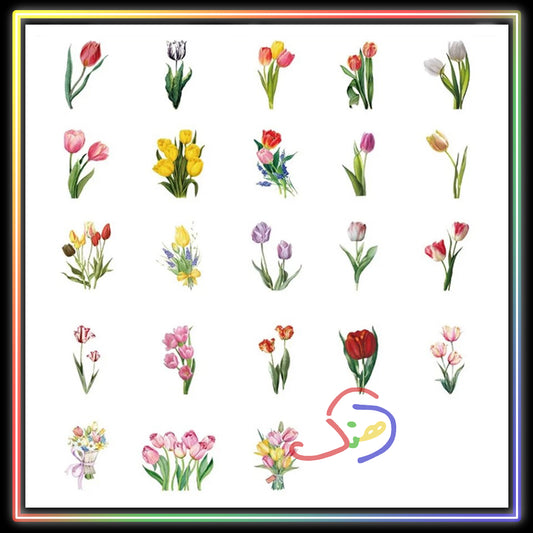 Tulip Garden